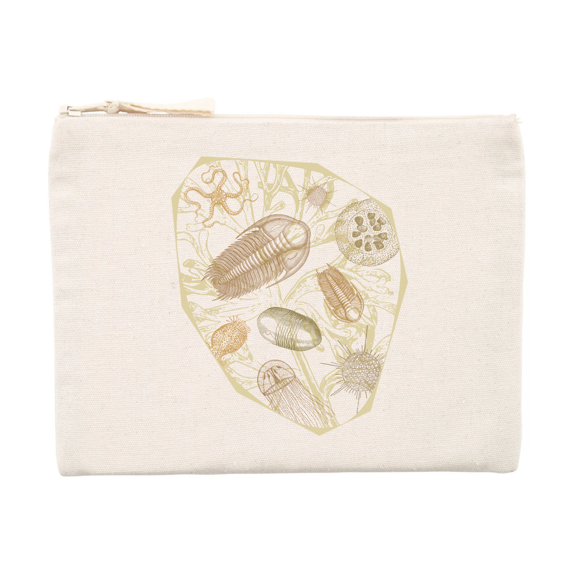 Trilobites | Pochette - Trousse | Beige