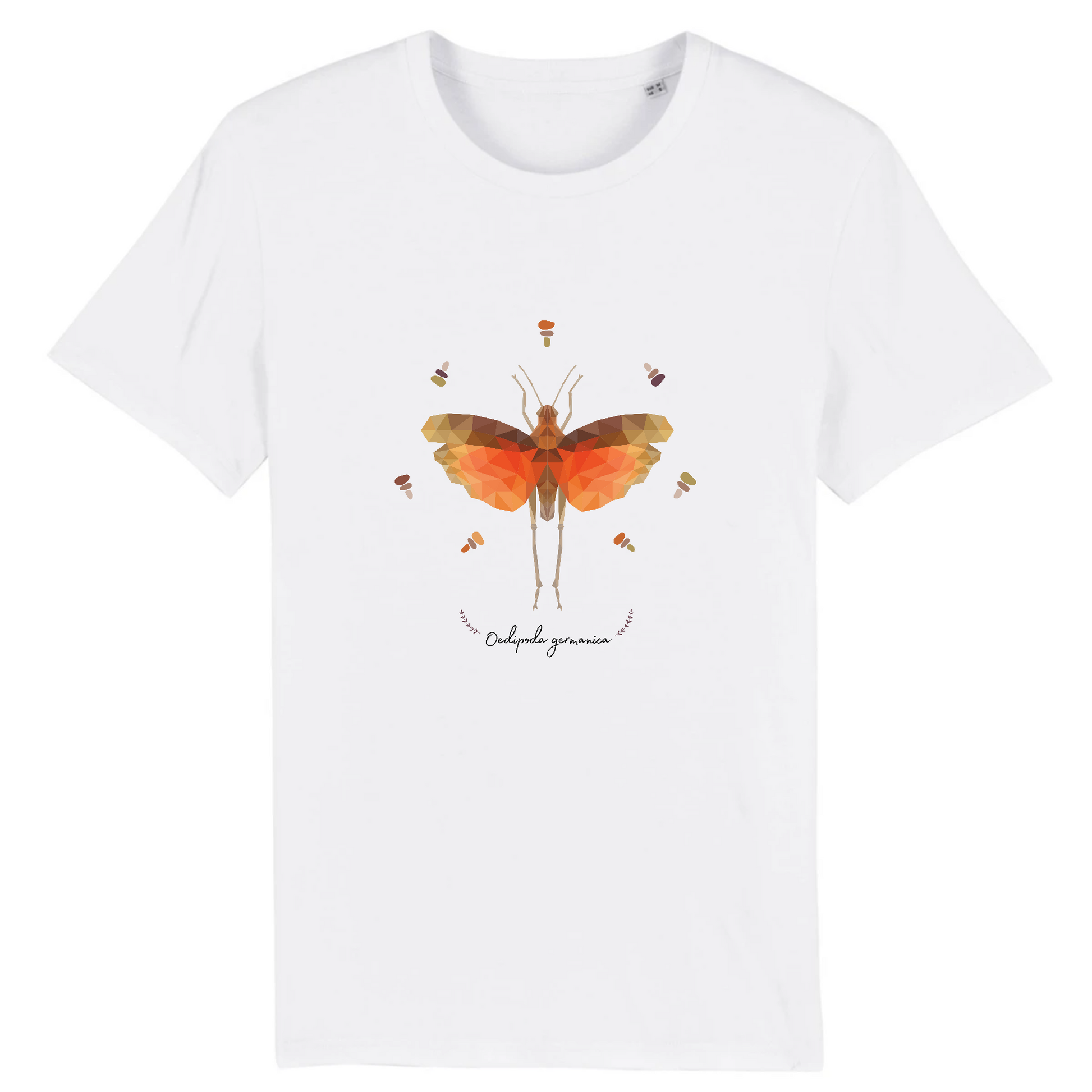 T-shirt homme coton bio | Graphisme insecte criquet Oedipoda germanica | Blanc