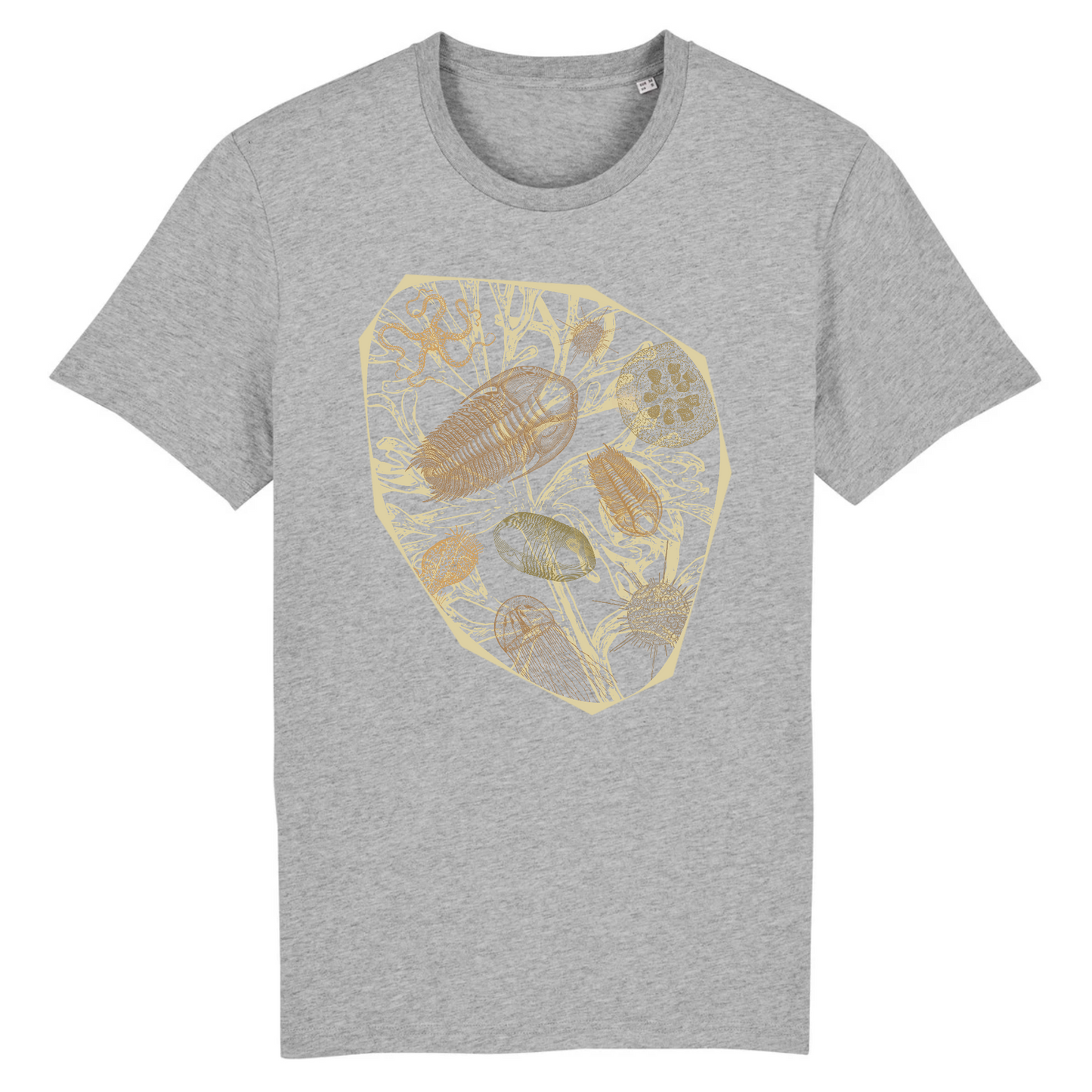 Trilobites | T-shirt Unisexe - Coton BIO - CREATOR | Gris