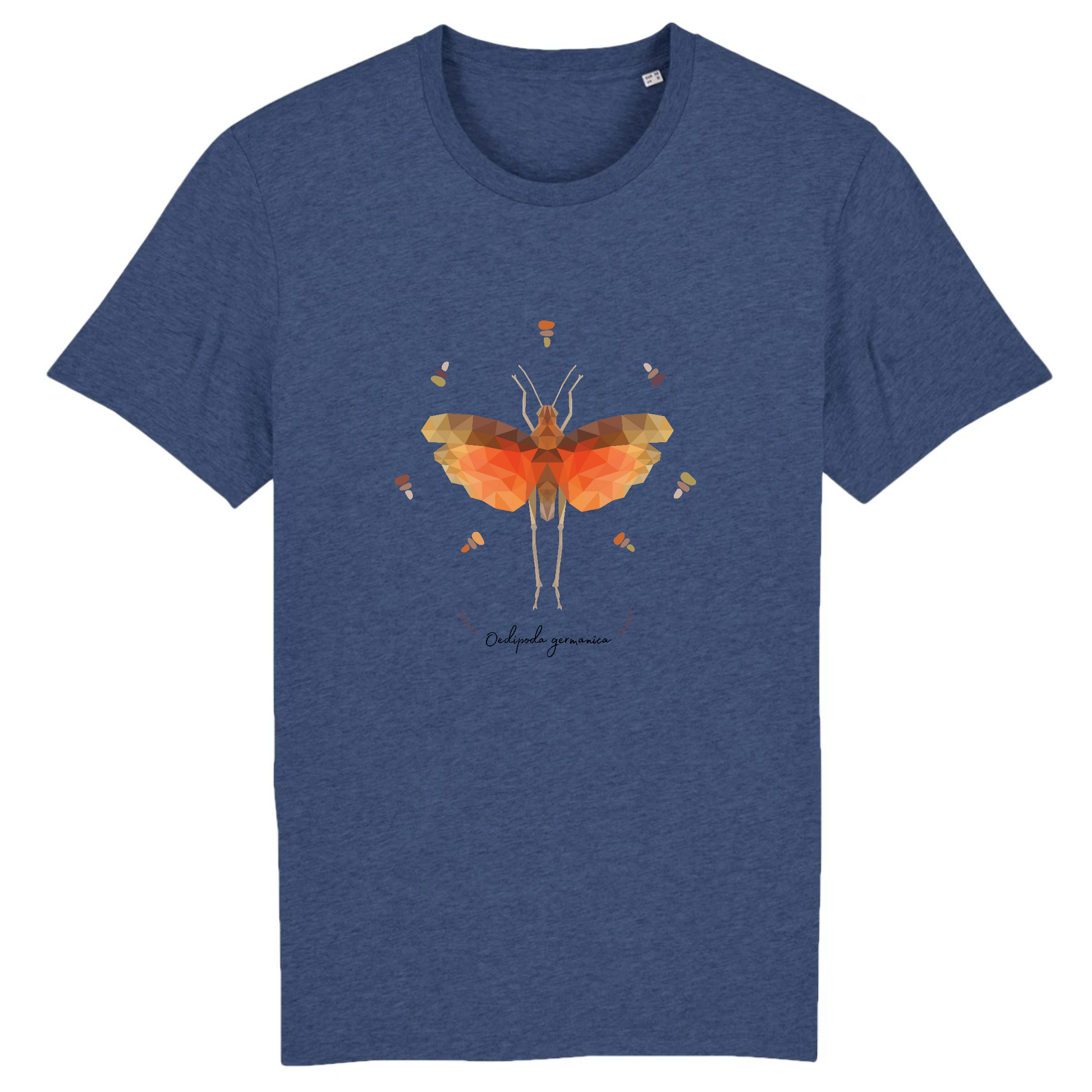 T-shirt homme coton bio | Graphisme insecte criquet Oedipoda germanica | Indigo