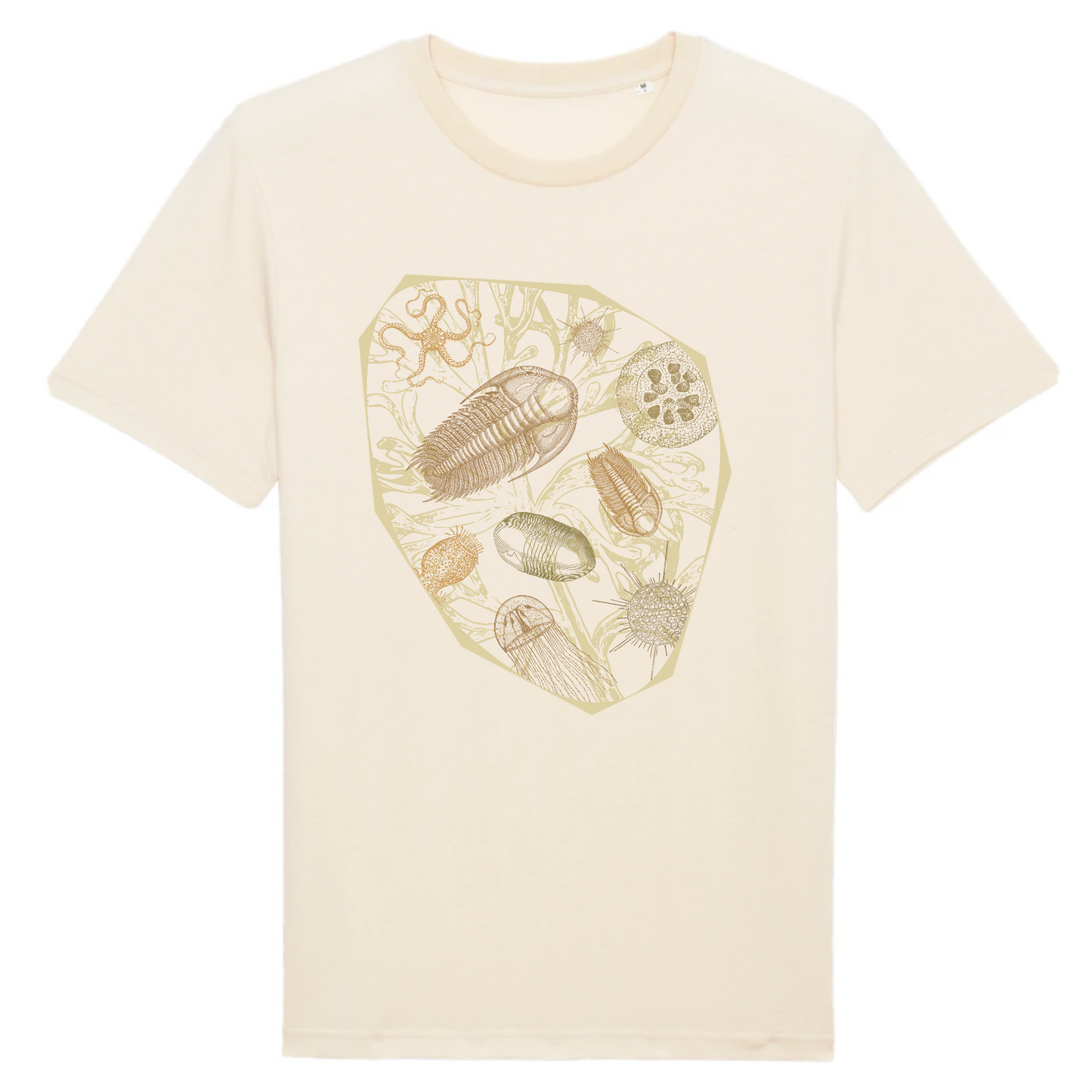 Trilobites | T-shirt Unisexe - Coton BIO - CREATOR | Naturel