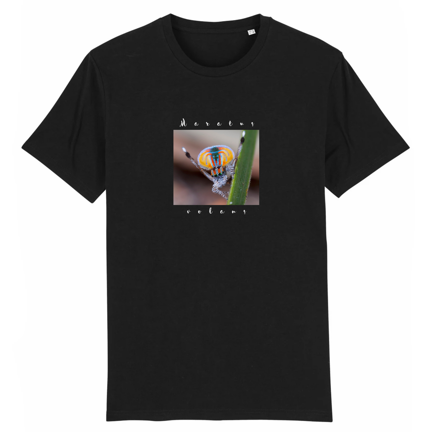 T-shirt homme coton bio | Graphisme araignée paon | Noir