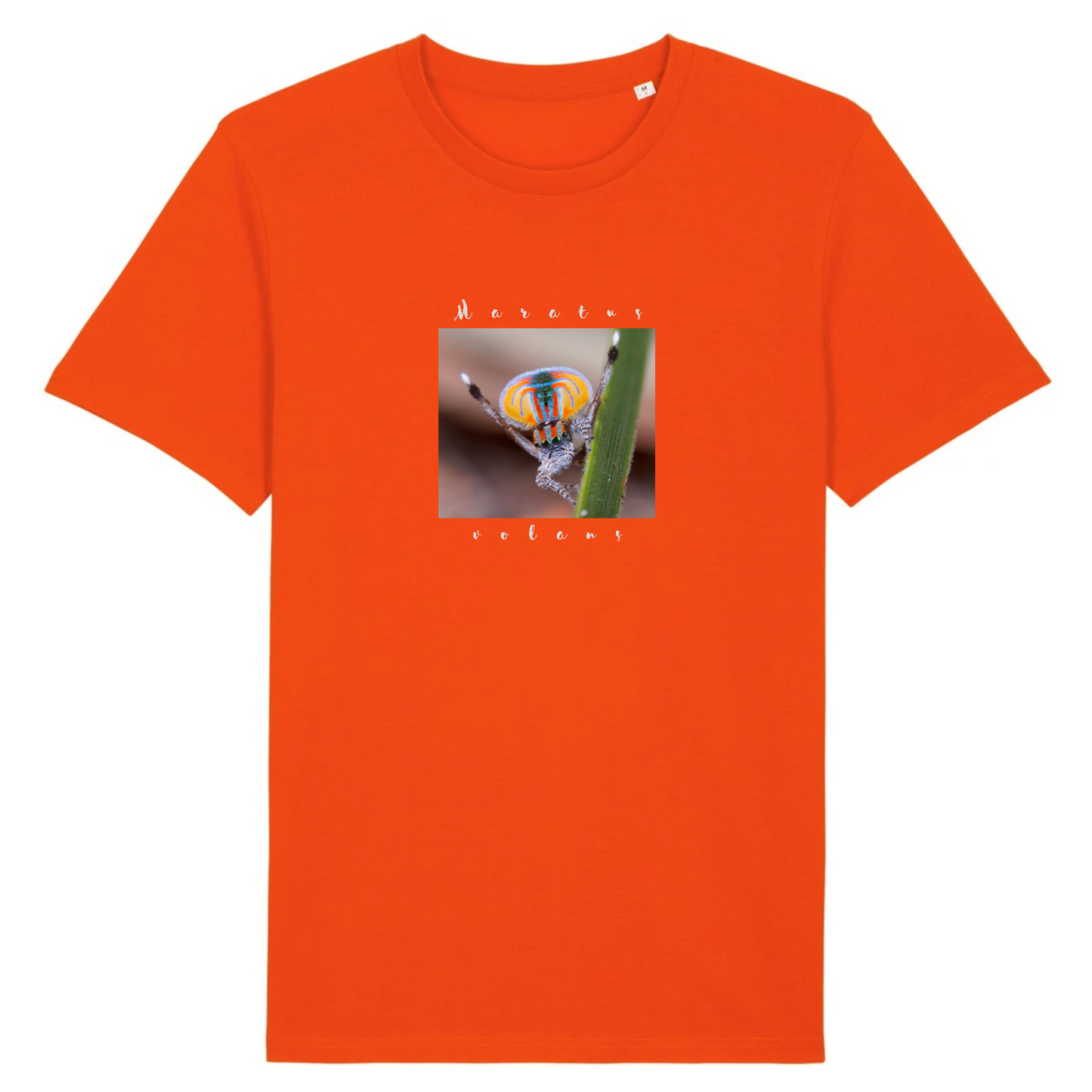 T-shirt homme coton bio | Graphisme araignée paon | Orange